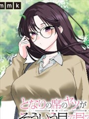 猫咪核心